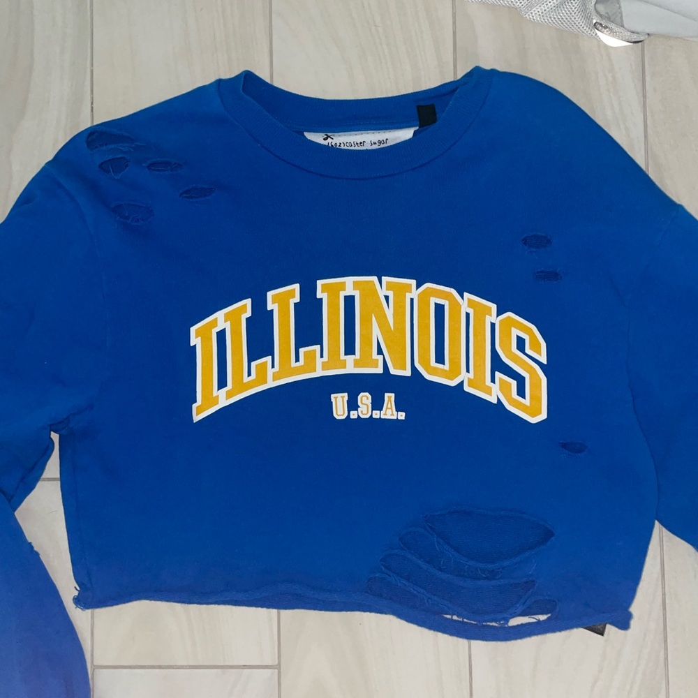 COPY - Illinois sweatshirt (1st one was not sold)